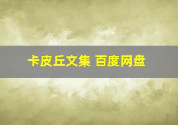 卡皮丘文集 百度网盘